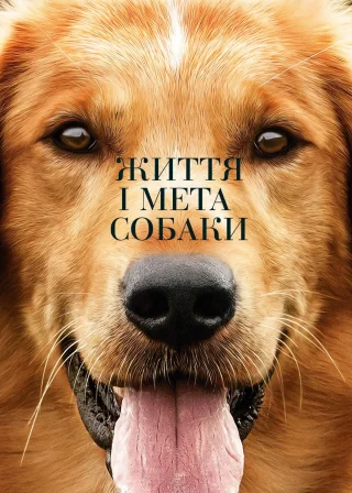 Життя і мета собаки (2017) — постер фільму
