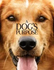 A Dog's Purpose (2017) — movie poster
