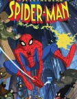 The Spectacular Spider-Man (2008) — animated series poster
