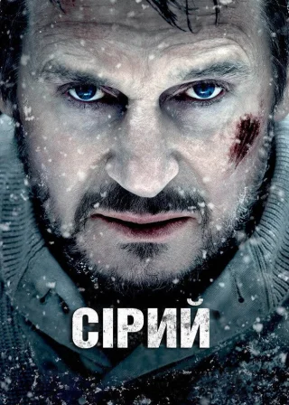 Сірий (2012) — постер фільму