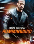 Hummingbird (2013) — movie poster