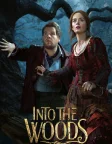 Into the Woods (2014) — movie poster