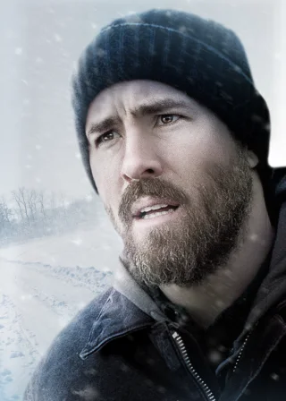 Полонянка (2014) — постер фільму