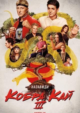 Кобра Кай (2018) — постер серіалу