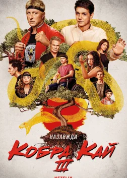 Кобра Кай (2018) — постер серіалу
