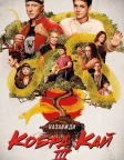 Кобра Кай (2018) — постер серіалу