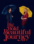 A Big Bold Beautiful Journey (2025) — movie poster