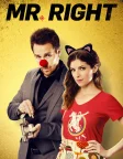 Mr. Right (2016) — movie poster