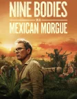 Nine Bodies in a Mexican Morgue (2025) — TV series poster