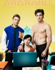 Awkward. (2011) — TV series poster