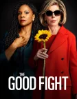The Good Fight (2017) — TV series poster