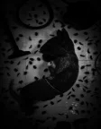 Будинок (2022) — постер мультфільму