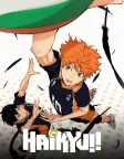 Haikyu!! (2014) — anime series poster