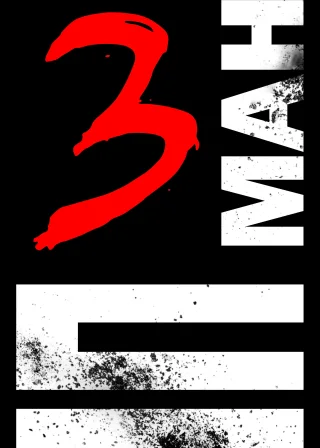 Іп Ман 3 (2015) — постер фільму