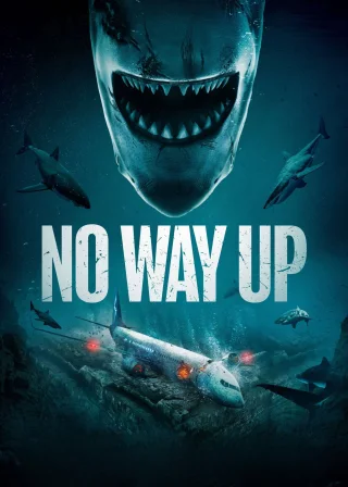 No Way Up (2024) — movie poster