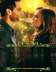 Snowed Inn Christmas (2017) — постер фільму