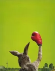 The Kangaroo Chronicles (2020) — movie poster