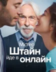 Містер Штайн йде в онлайн (2017) — постер фільму