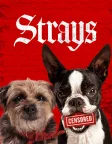 Strays (2023) — movie poster