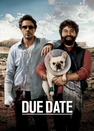 Due Date (2010) — movie poster