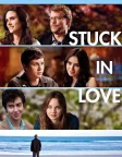 Stuck in Love (2013) — movie poster