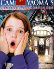Сам удома: Святкове пограбування (2012) — постер фільму