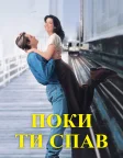 Поки ти спав (1995) — постер фільму