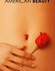American Beauty (1999) — movie poster