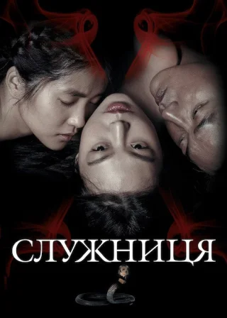 Служниця (2016) — постер фільму