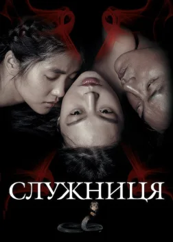 Служниця (2016) — постер фільму