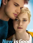 Now Is Good (2012) — movie poster