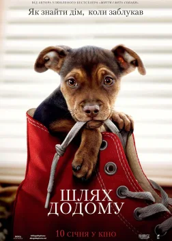 Шлях додому (2019) — постер фільму