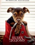 Шлях додому (2019) — постер фільму