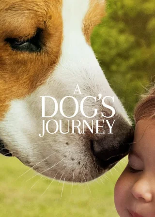 A Dog's Journey (2019) — movie poster
