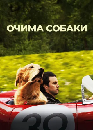 Очима собаки (2019) — постер фільму