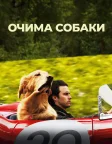 Очима собаки (2019) — постер фільму