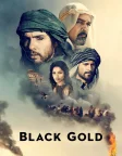 Black Gold (2011) — movie poster