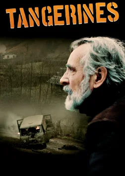 Mandariinid (2013) — постер фільму
