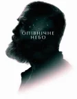 Опівнічне небо (2020) — постер фільму