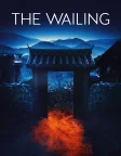 The Wailing (2016) — movie poster