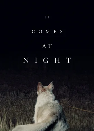 It Comes at Night (2017) — movie poster