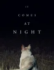 It Comes at Night (2017) — movie poster