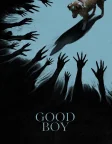 Good Boy (2025) — movie poster
