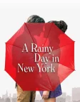 A Rainy Day in New York (2019) — movie poster