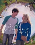 The Map of Tiny Perfect Things (2021) — movie poster