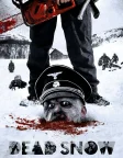 Dead Snow (2009) — movie poster
