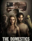 The Domestics (2018) — movie poster