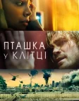Пташка у клітці (2020) — постер фільму