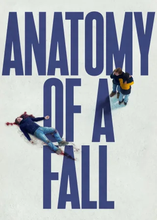 Anatomy of a Fall (2023) — movie poster