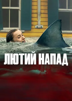 Лютий напад (2026) — постер фільму